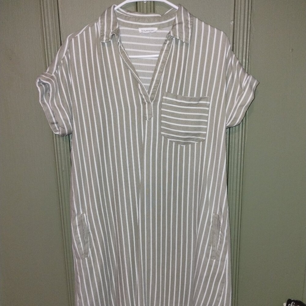 Blu pepper striped dress